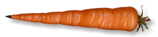 CARROT