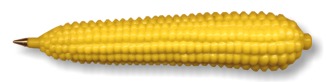 corn pen