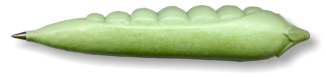 PEA PEN